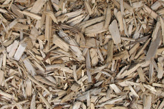 biomass boilers Auchmuirbridge